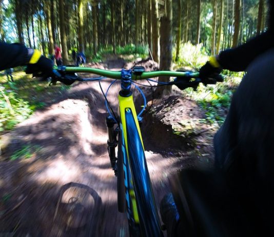 Raport dotyczący MTB w lasach