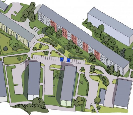 Witomino: zielona przestrzeń