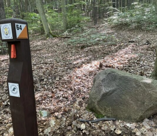 Zielony Punkt Kontrolny