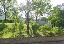 Wzgórze św. Maksymiliana: Spór o zieleń