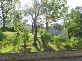 Wzgórze św. Maksymiliana: Spór o zieleń