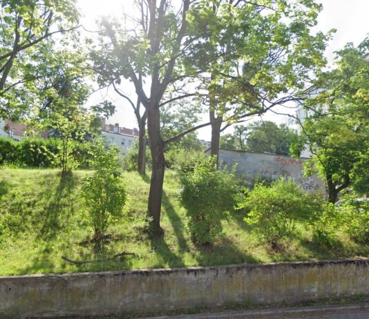 Wzgórze św. Maksymiliana: Spór o zieleń