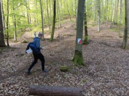 Pustki Cisowskie: Orientator 2026