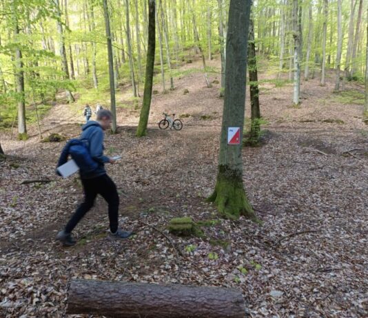 Pustki Cisowskie: Orientator 2026