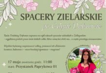 Dąbrowa: Spacery zielarskie 🗓